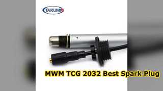 Thay thế Bugi Prechamber SR6A13 MWM TCG 2032